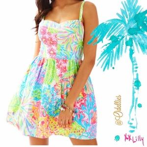 Lilly Pulitzer Ardleigh Dress
